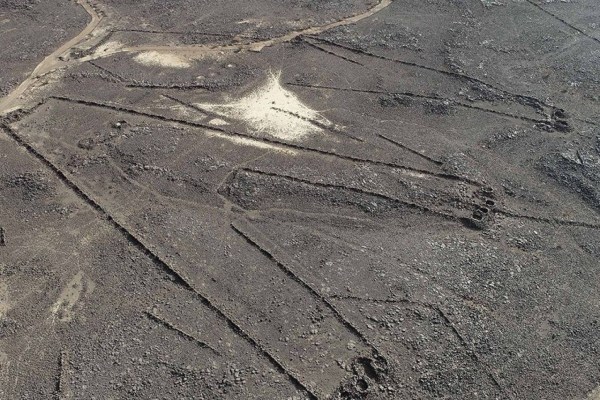 Uralte Tierfallen als Drachen bekannt