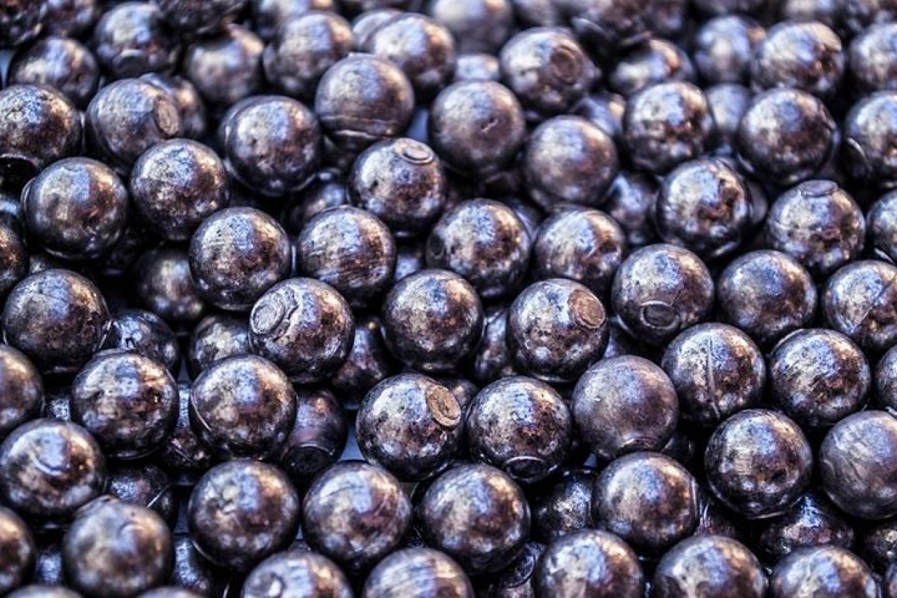 Blei vergiftet: Retten wir Adler und Bartgeier!