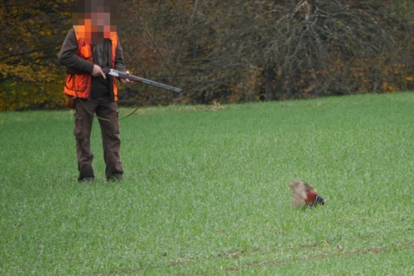 Durchgeknallte Hobby-Jäger in der Steiermark