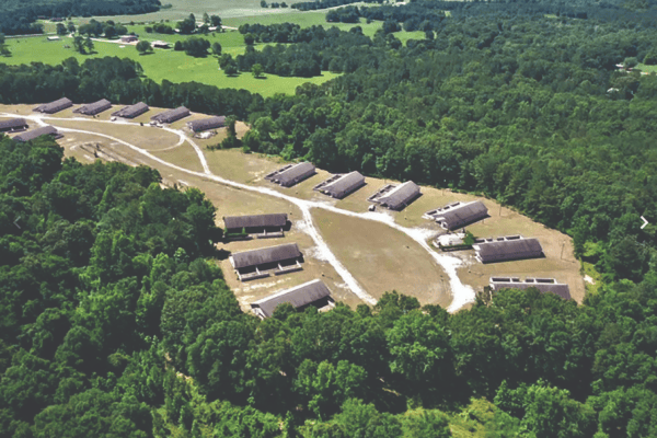 America's largest animal shelter rescues 5,000 dogs a year