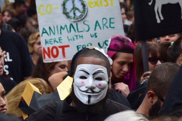 Tierrechte vs. Tierschutz: Es gibt einen Unterschied