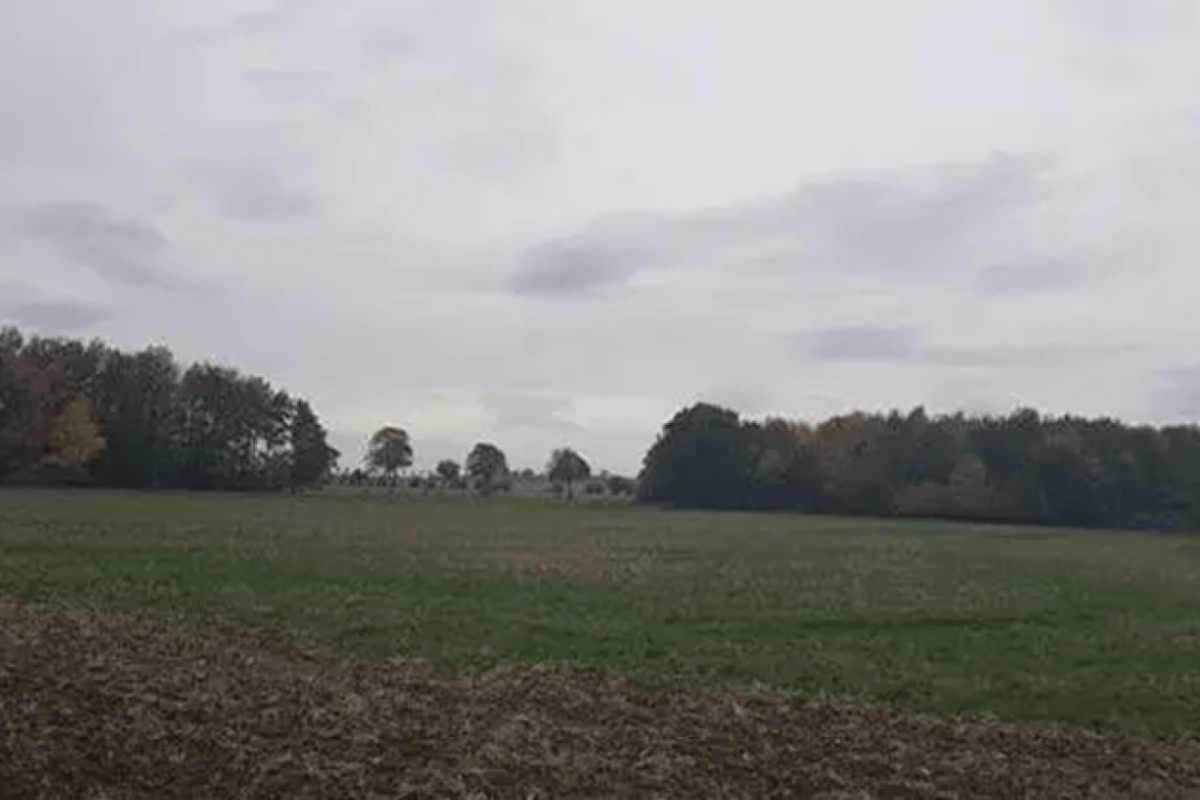 Zwei Waldgrundstücke in Hildesheim offiziell jagdfrei