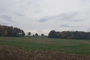 Zwei Waldgrundstücke in Hildesheim offiziell jagdfrei