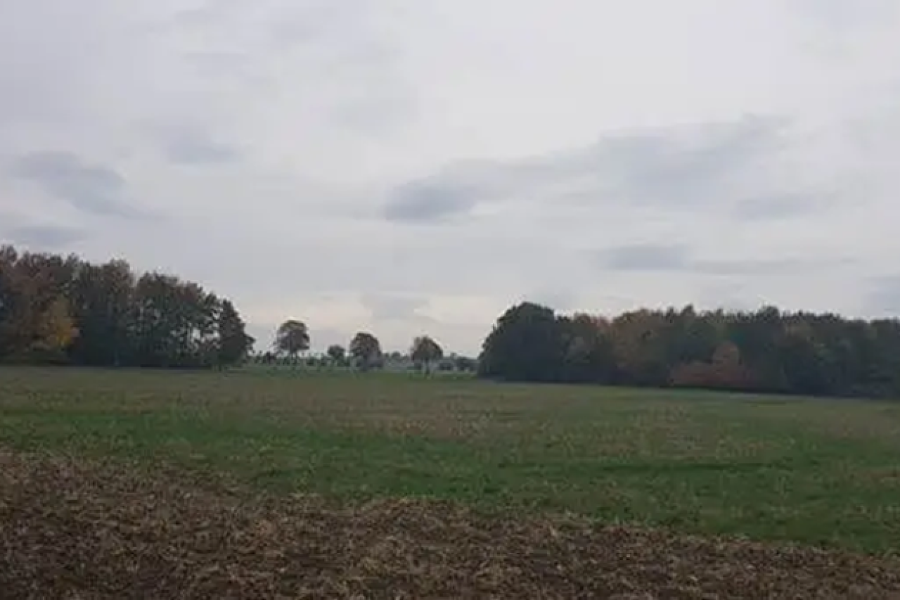 Zwei Waldgrundstücke in Hildesheim offiziell jagdfrei