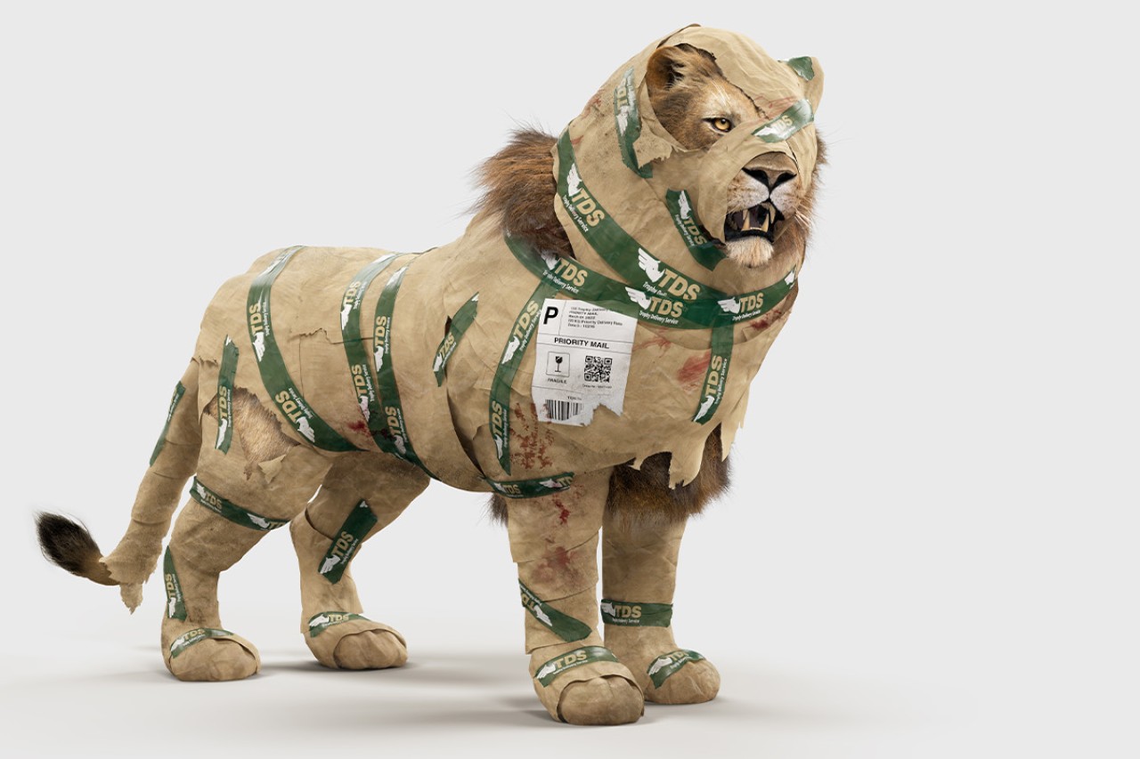 Petition gegen Trophäenjagd im EU-Parlament