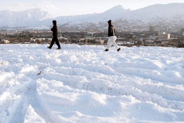 Afghanistan : un froid extrême tue 77'000 têtes de bétail