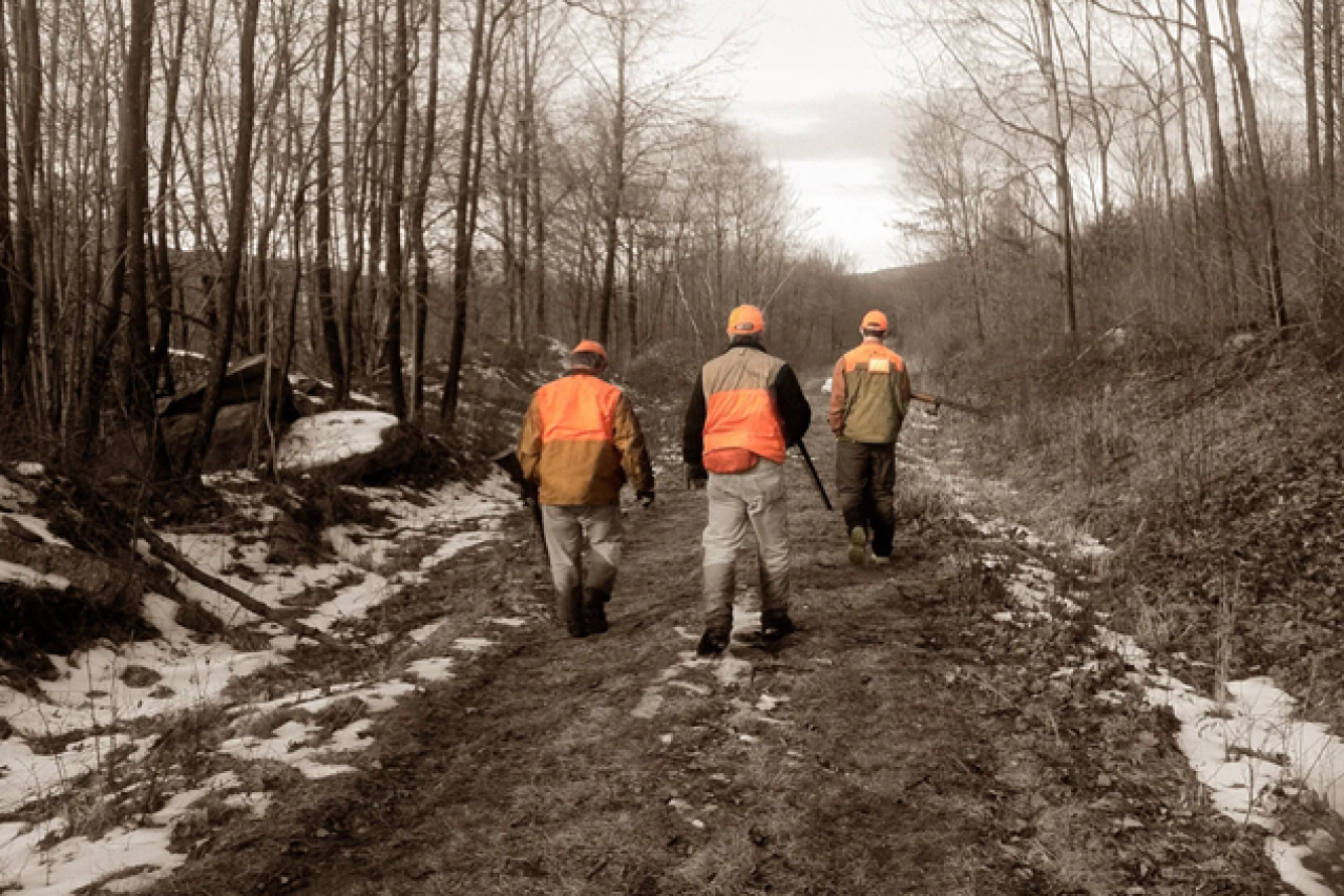 Violenza nelle scuole e cacciatori dilettanti