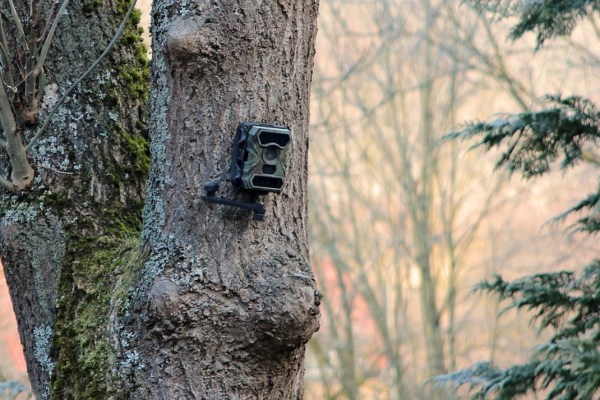 Hobby-Jäger freveln nebst der Natur auch Jagdkollegen