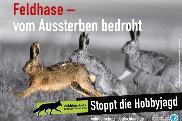 Kampagne: Schluss mit der Hobbyjagd