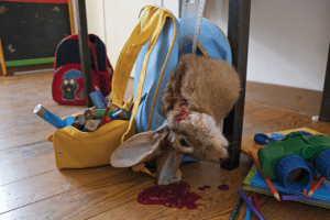 Nein zum Unterricht durch Hobby-Jäger in Schulen