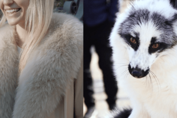 SLAY – Der Film, der der Mode unter die Haut geht