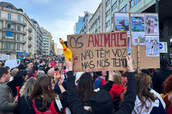 Tausende protestieren in Lissabon für Tierrechte