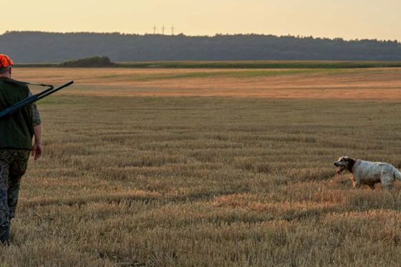 USA: Hund tötet Hobby-Jäger