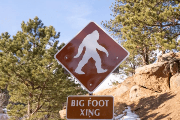 L'enigma del Bigfoot risolto grazie all'analisi di dati statistici