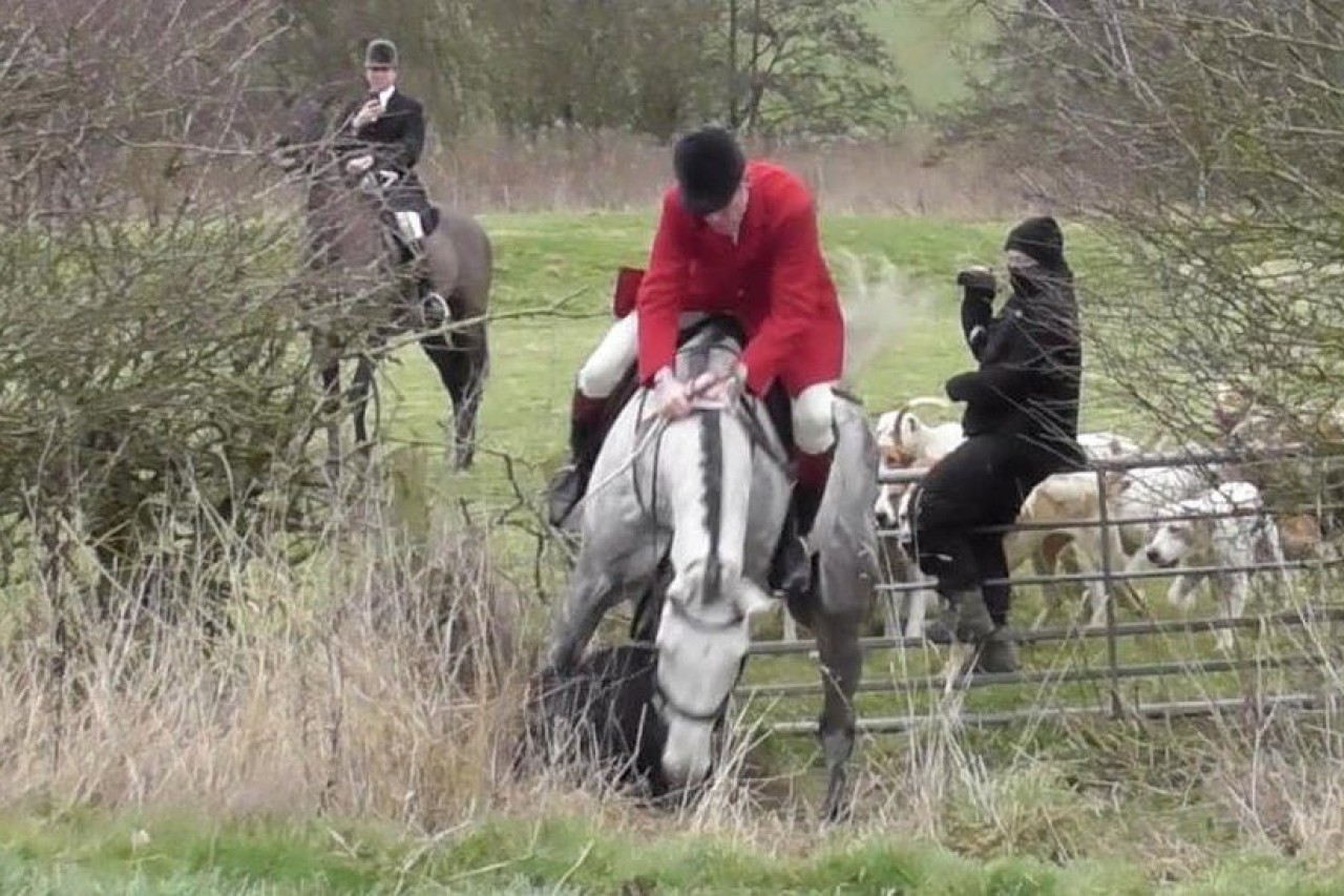 England: Hobby-Jäger reitet Jagdgegnerin nieder