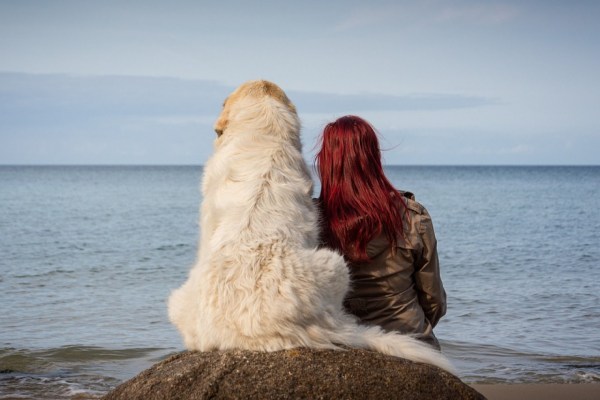 I cani e i loro padroni hanno spesso personalità simili