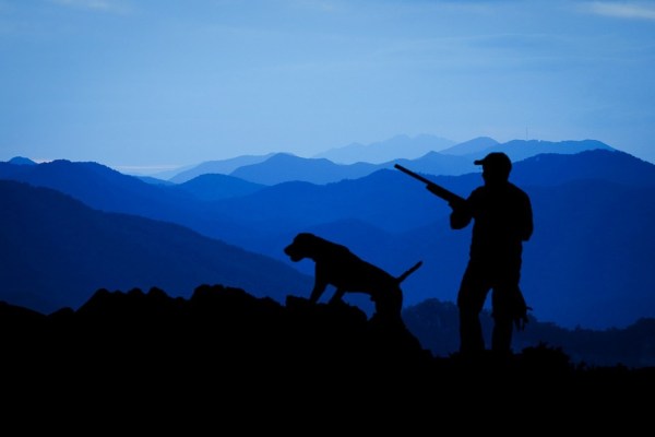 Jagdstreit kostet zwei Jagdhunden das Leben
