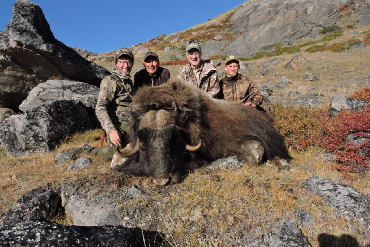 USA: Messe wirbt für die Tötung Tausender Tiere