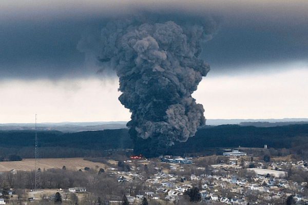 USA: Thousands of animals die after train derailment