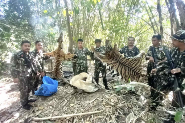 Thailand: Gericht verurteilt 5 Hobby-Jäger