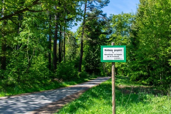 Aargau: hunting association president calls for forest police