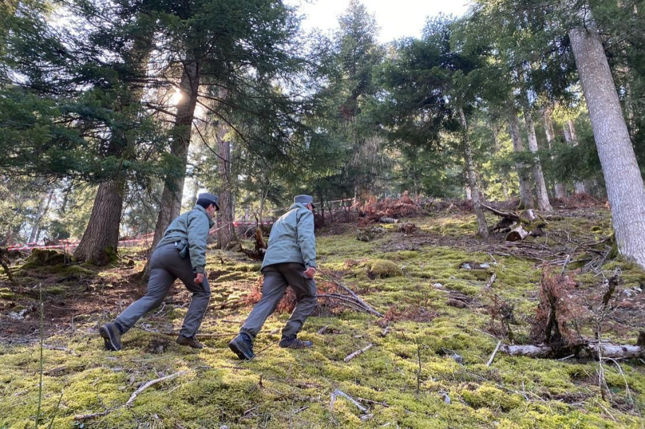 Sauvage parmi les sauvages