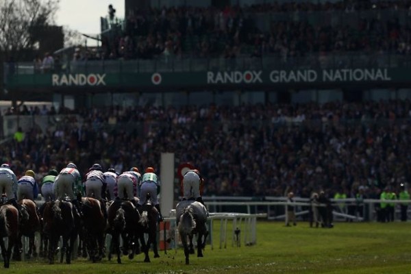 England: horse racing causes dead and injured animals