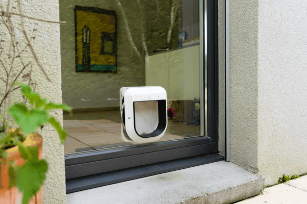 KI-Klappe: Katzen bringen keine Beute mehr ins Haus
