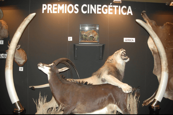 Spanien: Jagdmesse verherrlicht Abschuss bedrohter Arten