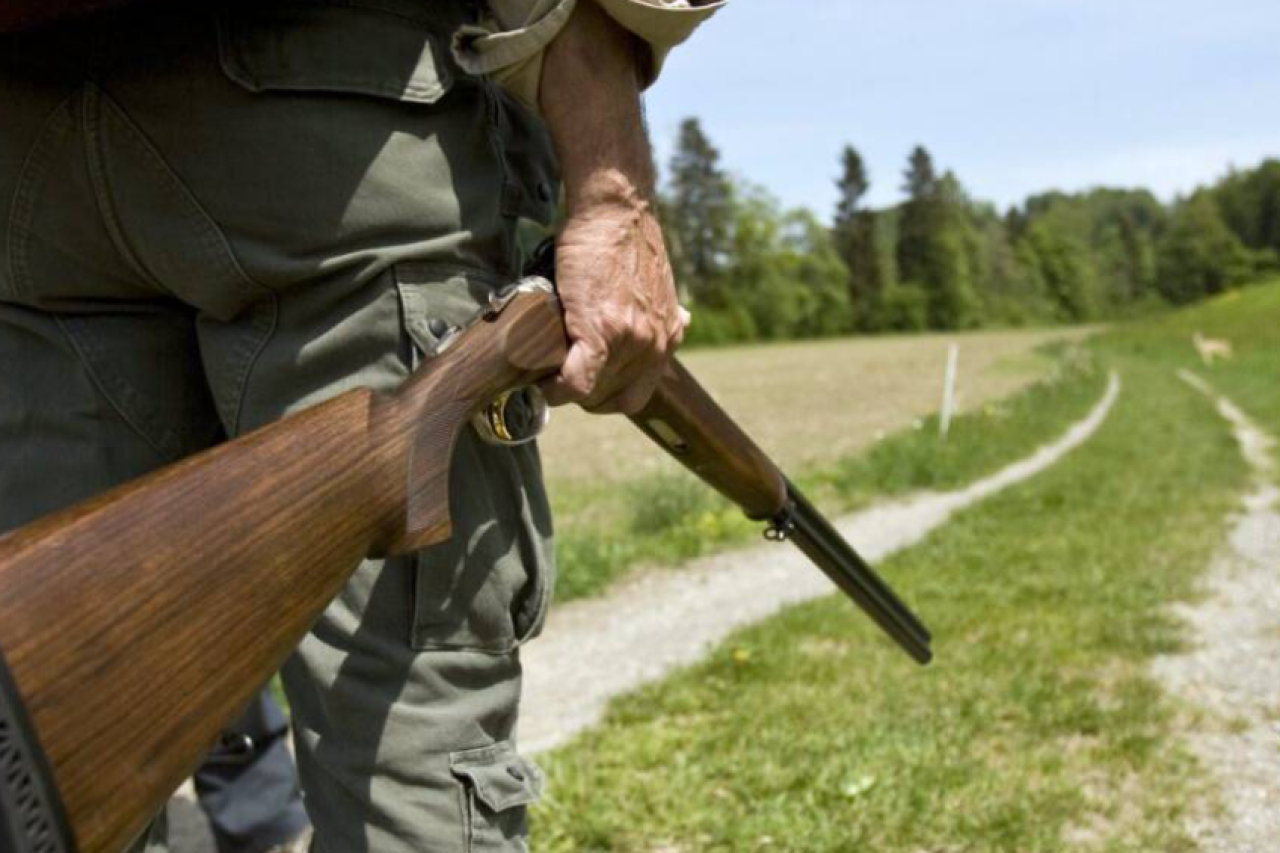 Sauvage parmi les sauvages