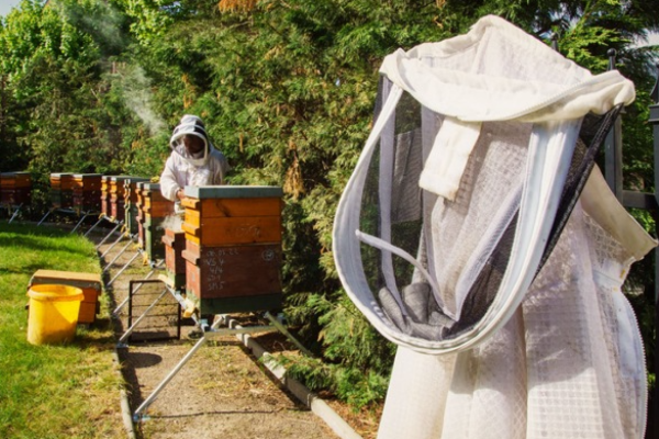 Nachhaltiges Projekt für Bienenschutz und Umwelt