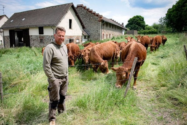Angst vor dem Wolf! Landwirt verkauft Rinderherde