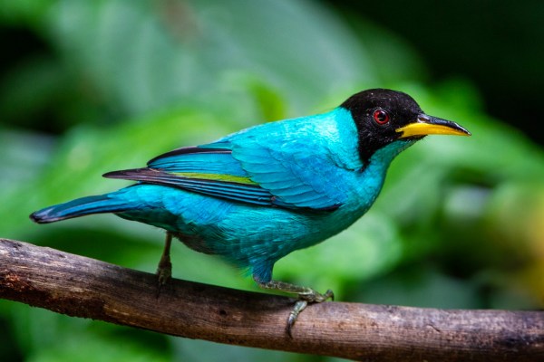 Reiseland Costa Rica