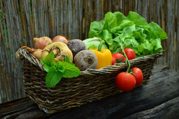 Initiative «Für eine sichere Ernährung»