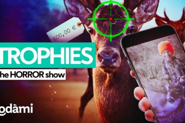 Tiere als Trophäen: Die Horrorshow in Dortmund