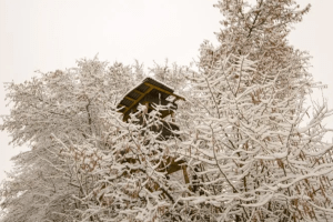 Abschussrampen in der Tradition
