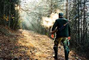 Tierschutzproblem Wildtiere verenden qualvoll wegen Hobby Jäger