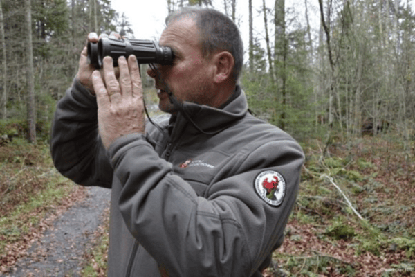 Guardas de caza: profesionales en lugar de cazadores aficionados