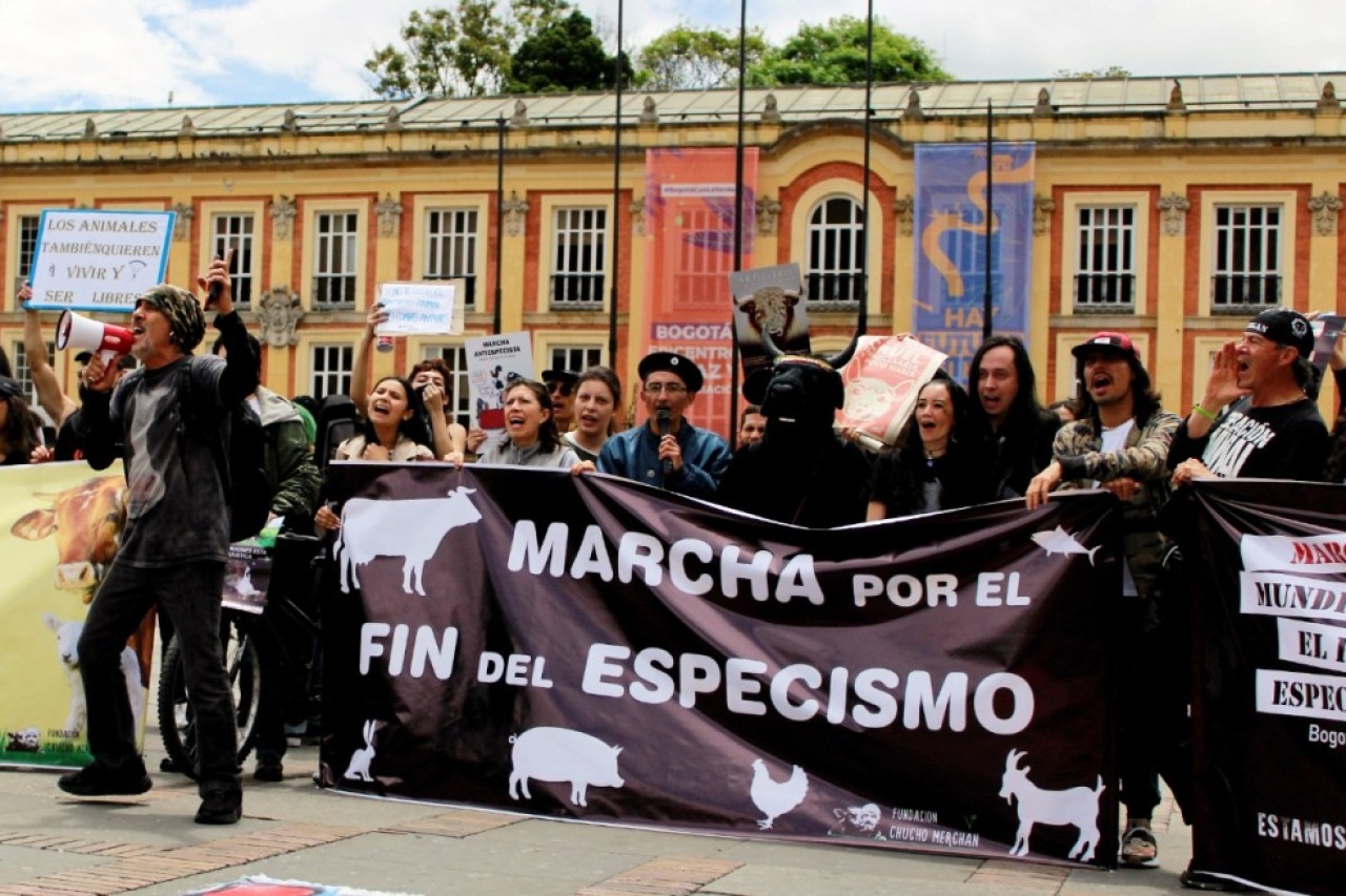On August 26, 2023, the 9th World Day for the End of Speciesism will take place