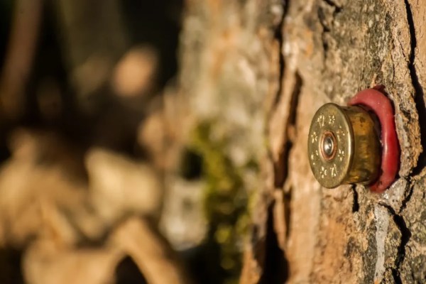 In die ewigen Jagdgründe mit der Hobby-Jagd