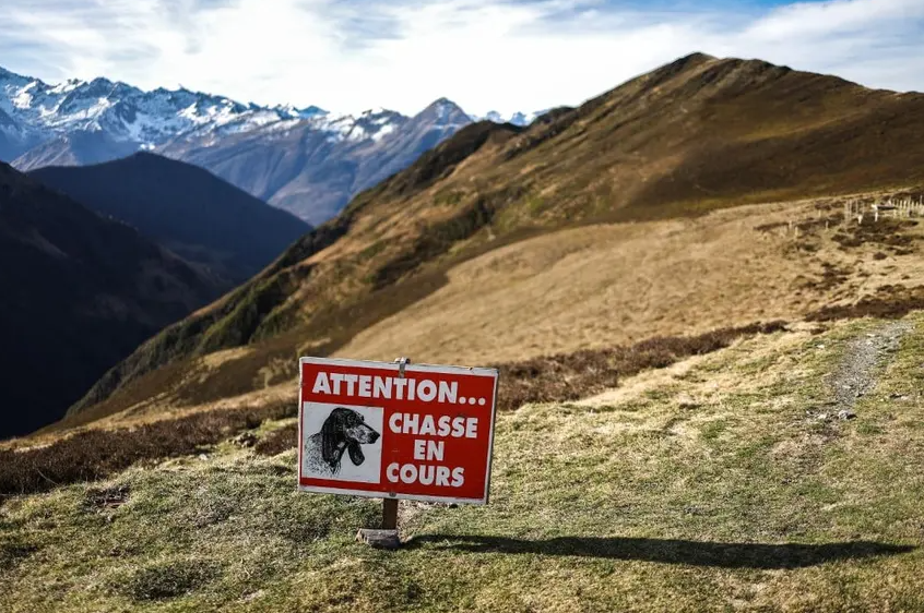 Frankreich Hobby-Jäger dürfen nicht mehr betrunken auf die Jagd gehen