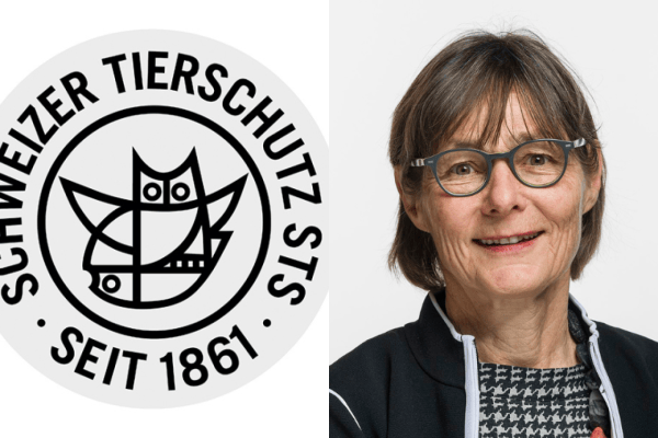 Schweizer Tierschutz: Veruntreuung vorgeworfen