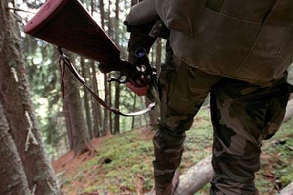 Beispiellose Wilderei im Jura