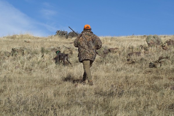 Mauvais travail des chasseurs de loisir