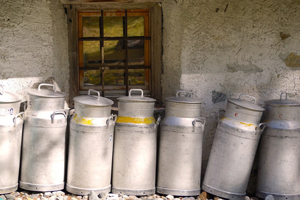 Tierwohl in der Schweizer Milchproduktion Herausforderungen und Chancen