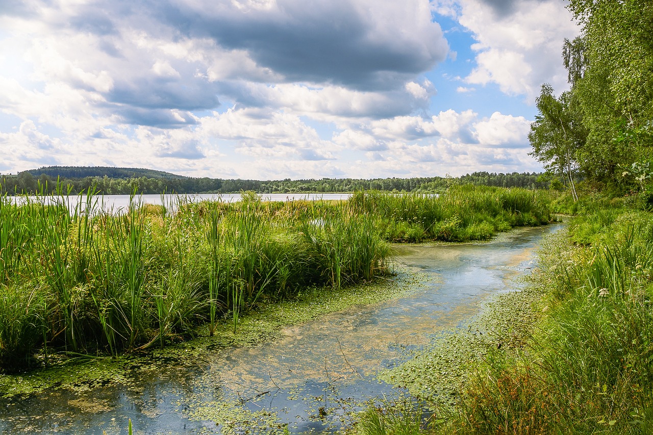 Belastung von wichtigen Biotope durch Pflanzenschutzmittel