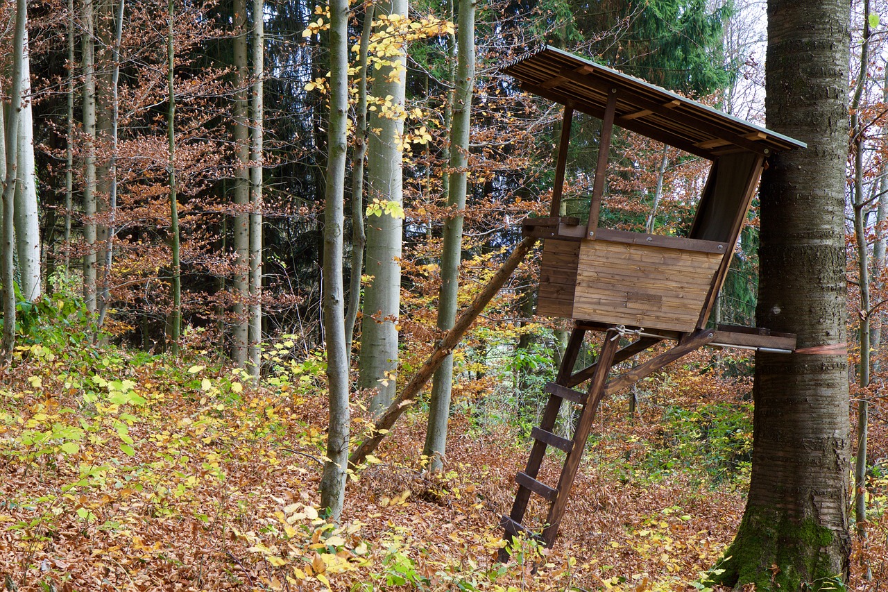 Jagd auf den Wolf Konflikt zwischen Hobby-Jägern und Tierschutzaktivisten