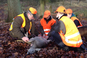 Petition: Minderjährige auf der Hobby-Jagd bestrafen