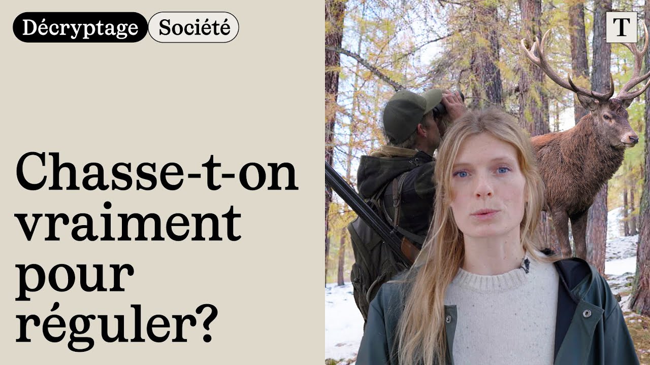 Video: La caccia è davvero il metodo giusto per regolare le popolazioni?