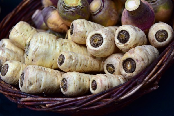 Die Renaissance der Pastinake: Ein kulinarisches Comeback